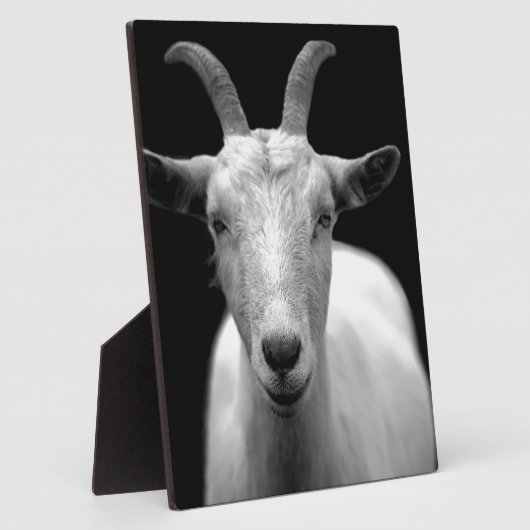 Geitenvlees Fotoplaat (Zijkant)