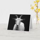 Geitenvlees Kaart (Gele Bloem)