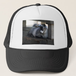 Geitenvlees Pet