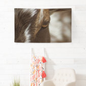 Geitenvlees Spandoek (Insitu)