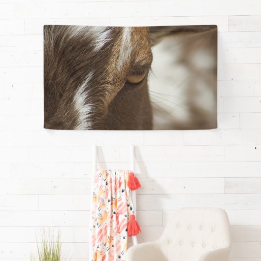 Geitenvlees Spandoek (Insitu)