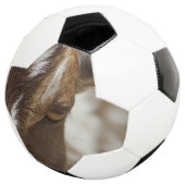 Geitenvlees Voetbal (Drie kwart)