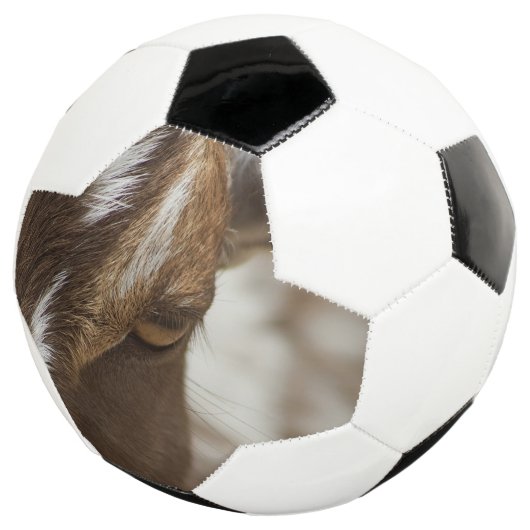 Geitenvlees Voetbal (Drie kwart)