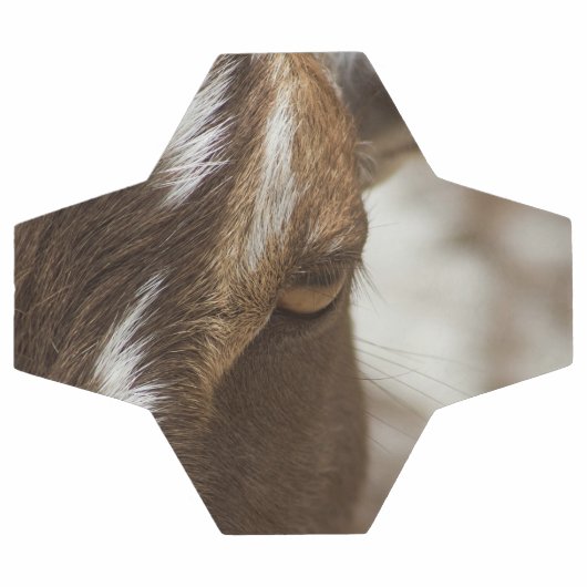 Geitenvlees Voetbal (Enkel)