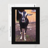 Geitenvrij Briefkaart (Voorkant / Achterkant)