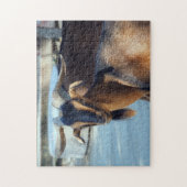 Geitenzwarte bruine dierfoto legpuzzel (Verticaal)