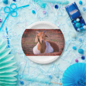 Geitfoto Papieren Bordje (Feest)