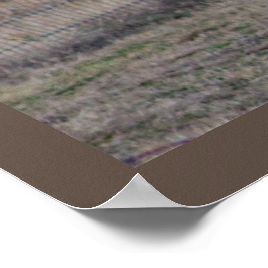 Geitfoto Poster (Hoek)