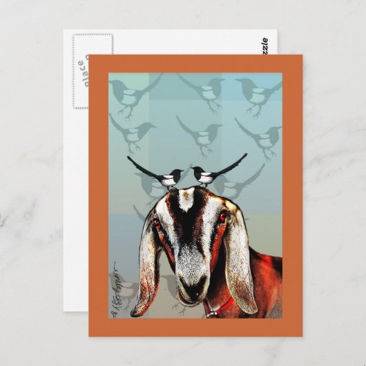 Geitje met mooie kunst briefkaart (Voorkant / Achterkant)