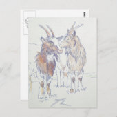 Geittekening - De broers en zussen Briefkaart (Voorkant / Achterkant)
