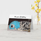 Gejaarde leeftijd niet gelukkig, Humor met hond Kaart (Gele Bloem)