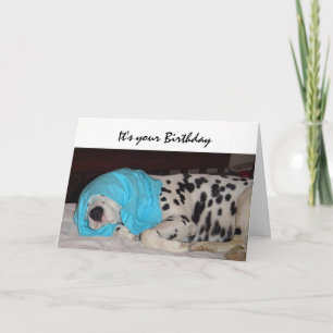 Gejaarde leeftijd niet gelukkig, Humor met hond Kaart