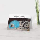 Gejaarde leeftijd niet gelukkig, Humor met hond Kaart (Voorkant)