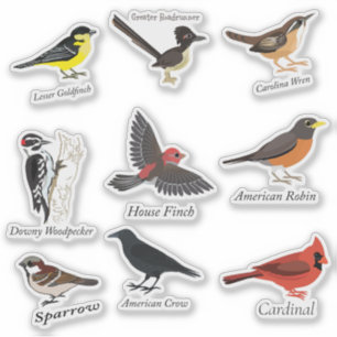 Gekabelde achtertuin vogelsticker set sticker
