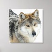 Gekapeld Canvas/Wolf Canvas Afdruk (Voorkant)