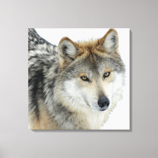 Gekapeld Canvas/Wolf Canvas Afdruk