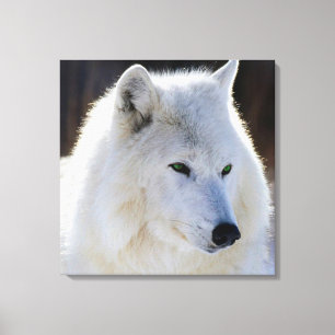 Gekapelde canvas/groene witte wolf canvas afdruk