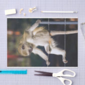 Gekke apenpapier tissuepapier (Craft)