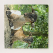 Gekke Baby Legpuzzel (Horizontaal)