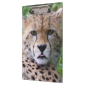 Gekke Cheetah Cub Klembord (Links)