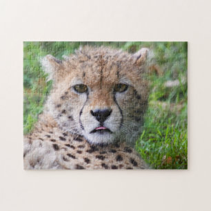 Gekke Cheetah Cub Legpuzzel