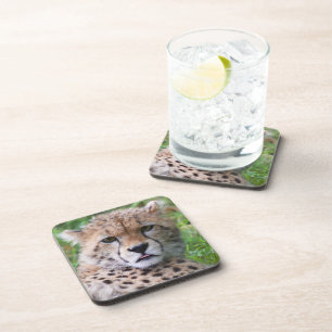 Gekke Cheetah Cub Square Bier Onderzetter