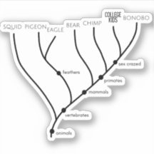 Gekke Cladogram 3"x 3"VinylStickers