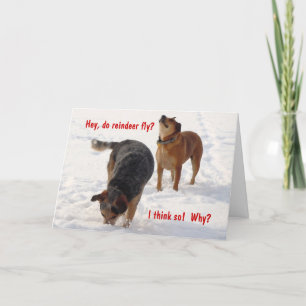 Gekke Funny Cattle Dogs met kerstmis Feestdagen Kaart
