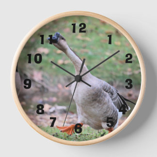 Gekke gans
