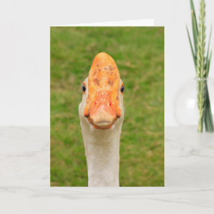 Gekke gans Birthday Kaart