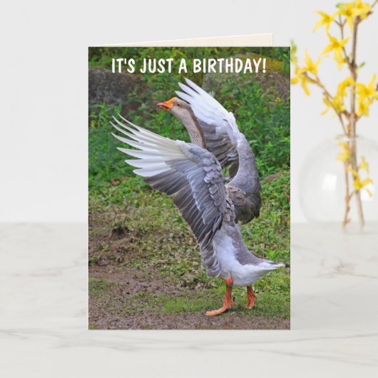 Gekke gans Birthday Kaart (Gele Bloem)