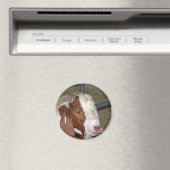 Gekke geit magneet (Insitu (Vaatwasser))