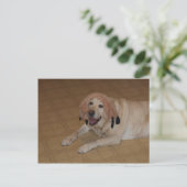 Gekke gele lab briefkaart (Staand voorkant)