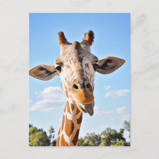 Gekke Giraffe Briefkaart (Voorkant)