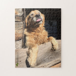 Gekke Golden Retriever foto Legpuzzel