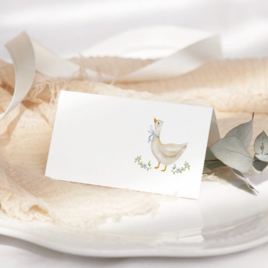 Gekke Goose Blue Bow Baby shower