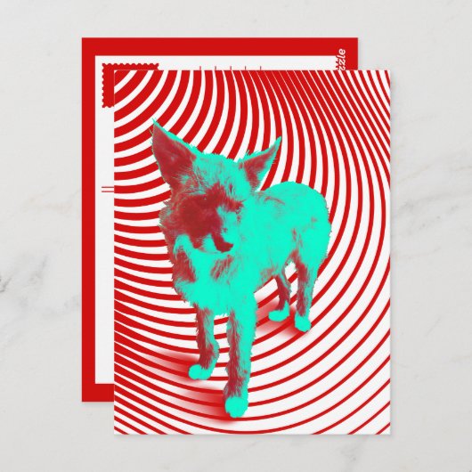 gekke hazige jongen briefkaart (Voorkant / Achterkant)