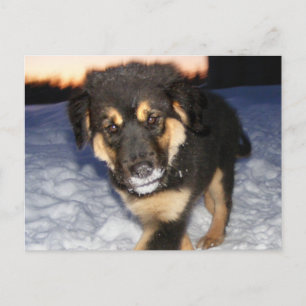 Gekke kant Briefkaarten