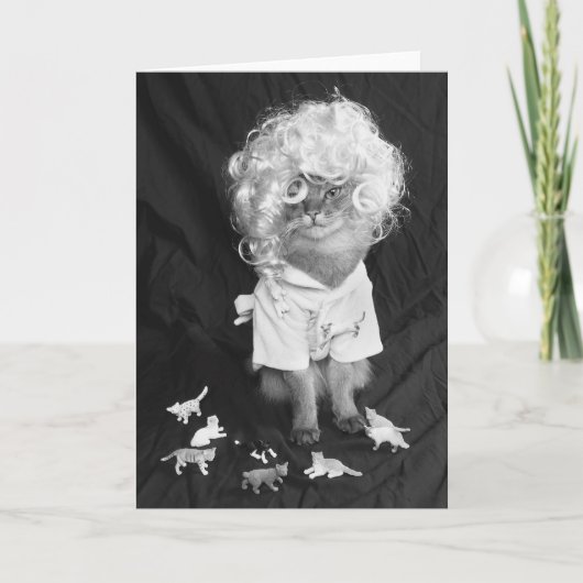 Gekke Kat Dame Somali Cat Kaart (Voorkant)