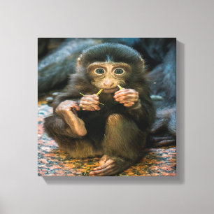 Gekke kleine aap canvas afdruk