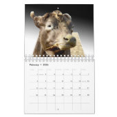 Gekke kunstwerken die Pop, Kalender (Feb 2026)