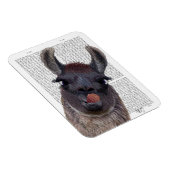 Gekke Llama Magneet (Rechterzijde)