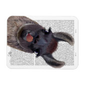 Gekke Llama Magneet (Horizontaal)