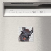 Gekke Llama Magneet (Insitu (Vaatwasser))