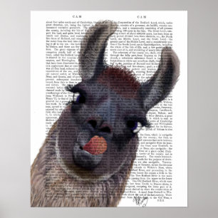 Gekke Llama Poster