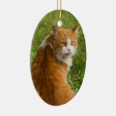 Gekke Oranje langharige tablet Keramisch Ornament (Rechts)