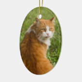 Gekke Oranje langharige tablet Keramisch Ornament (Links)