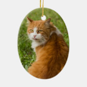 Gekke Oranje langharige tablet Keramisch Ornament (Achterkant)