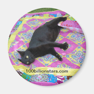 Gekke Quilt Kat Magnet Magneet