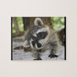 Gekke Raccoon - Puzzle Legpuzzel